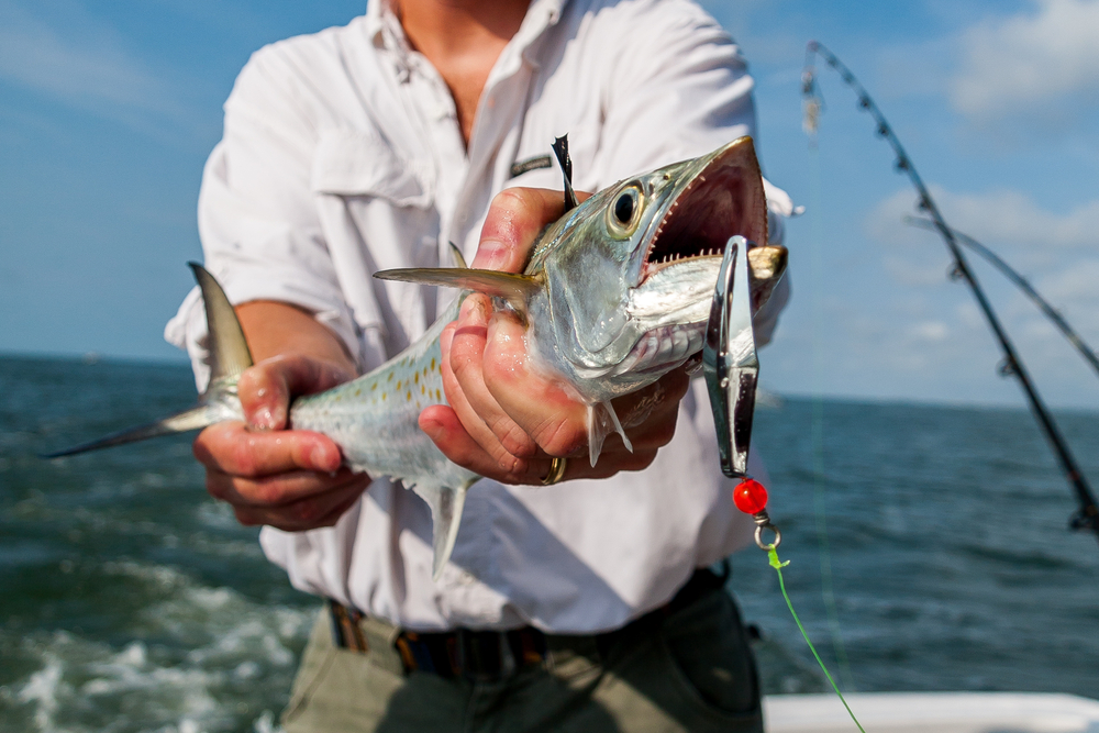 The Ultimate Guide To Trolling Fishing